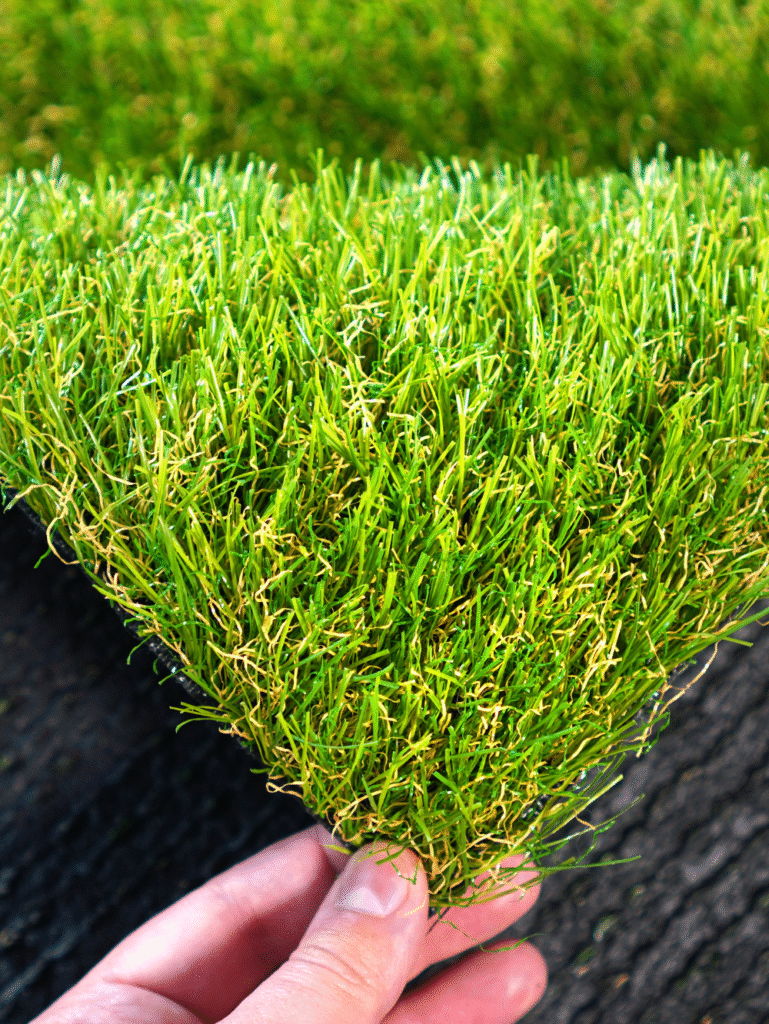 Untitled design - 2025-09-02T010055.674